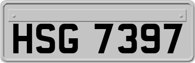 HSG7397