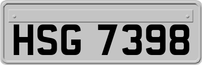 HSG7398