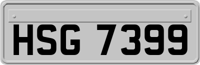 HSG7399