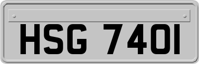 HSG7401