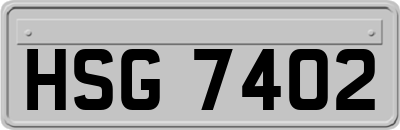 HSG7402