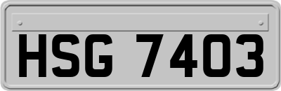 HSG7403