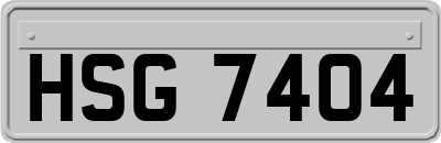 HSG7404