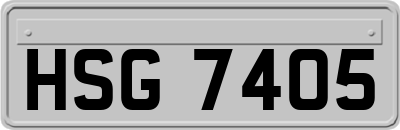 HSG7405