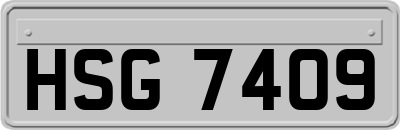 HSG7409