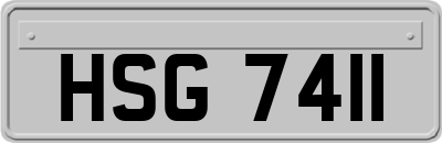 HSG7411