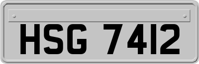 HSG7412