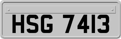 HSG7413