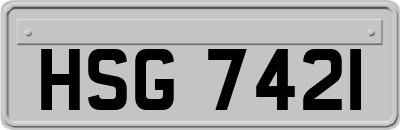HSG7421