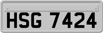 HSG7424