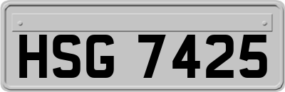 HSG7425