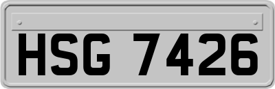 HSG7426