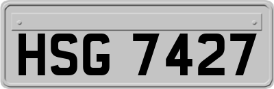 HSG7427