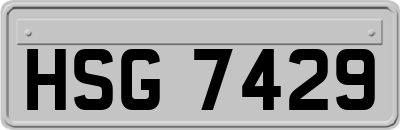 HSG7429