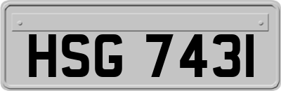 HSG7431