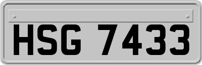 HSG7433