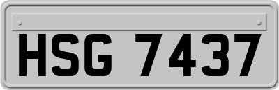 HSG7437