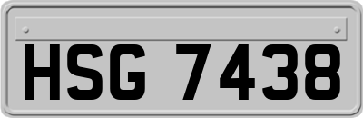 HSG7438
