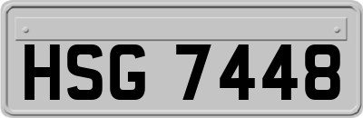 HSG7448