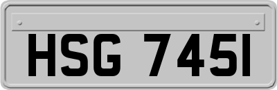 HSG7451