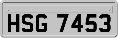 HSG7453