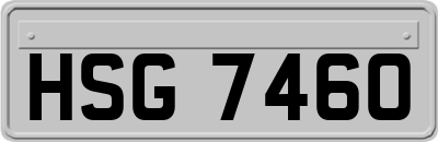 HSG7460