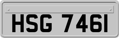 HSG7461