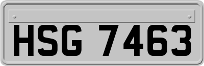 HSG7463
