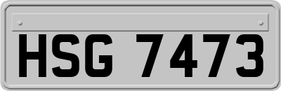 HSG7473