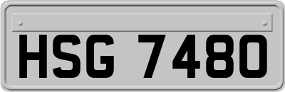 HSG7480