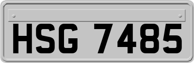 HSG7485