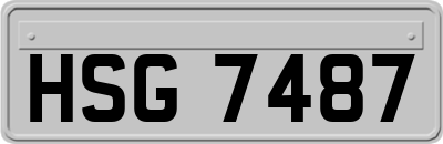 HSG7487