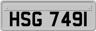HSG7491
