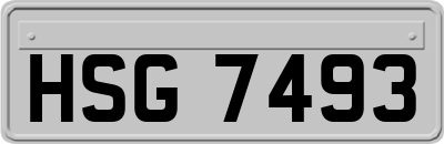 HSG7493