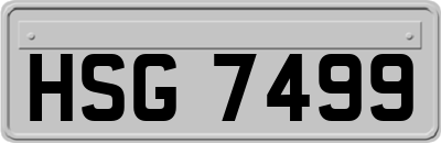 HSG7499