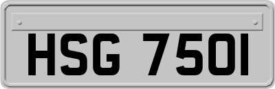 HSG7501