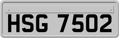 HSG7502