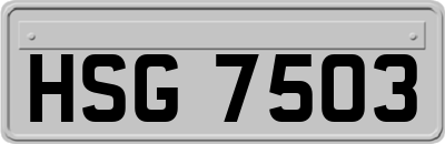HSG7503