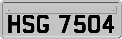 HSG7504