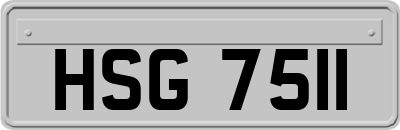 HSG7511