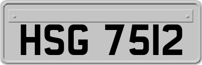 HSG7512