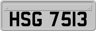 HSG7513