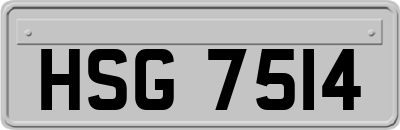 HSG7514
