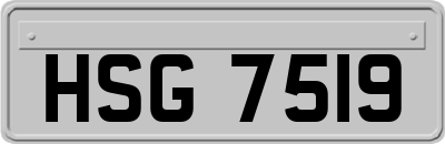 HSG7519