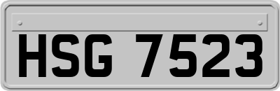 HSG7523
