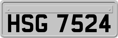 HSG7524