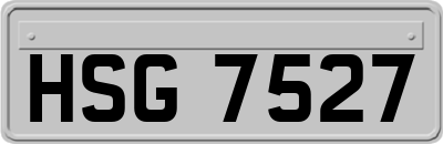 HSG7527