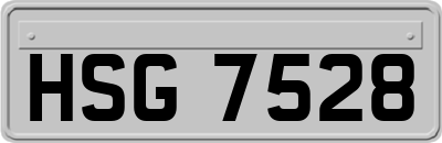 HSG7528