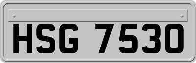 HSG7530
