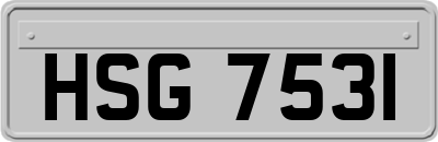 HSG7531
